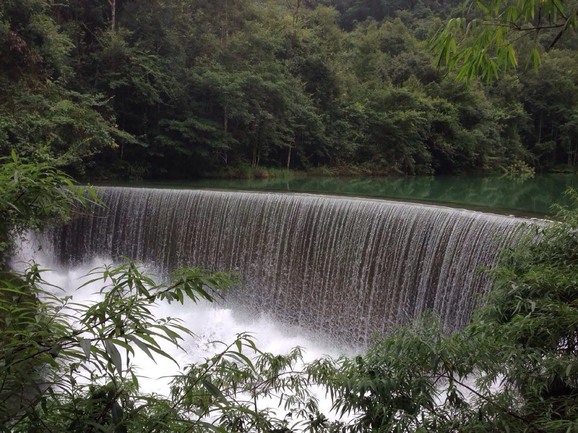 景区流量数字资产